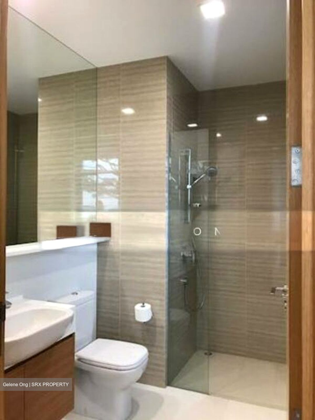 The Skywoods (D23), Condominium #503837711